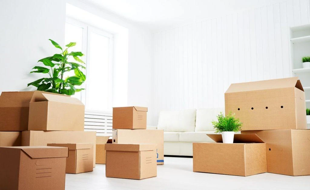 Collection of free moving boxes to make your moving on a budget dream a reality