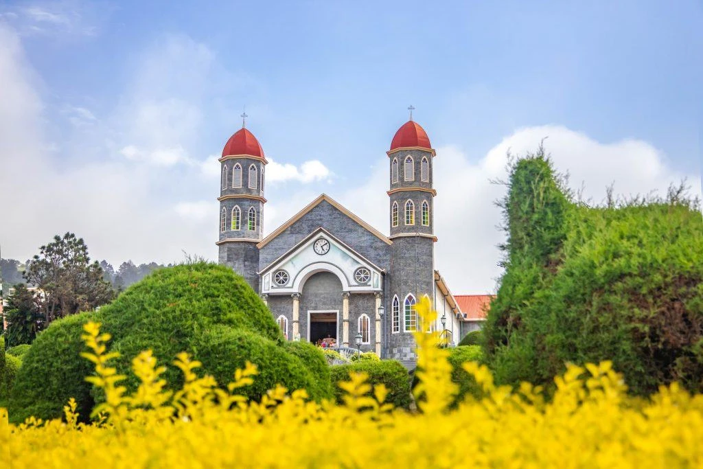 Depiction of a church surrounded by yellow flowers and trees in Costa Rica