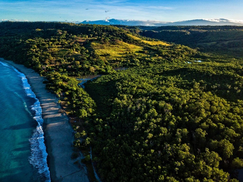 Landscape depicting a beach next to a forest in Costa Rica